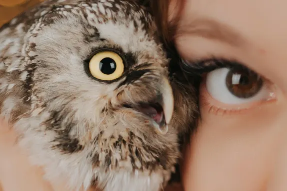 CasinoCasino Casino Suporte